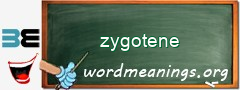 WordMeaning blackboard for zygotene